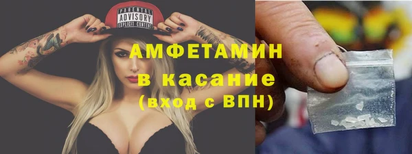 стафф Алзамай