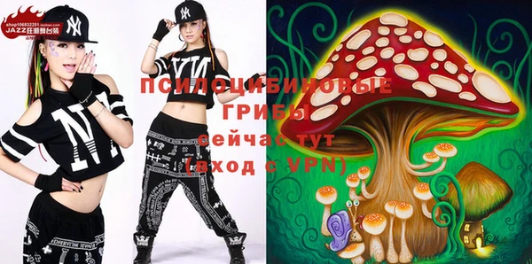 героин Алексин