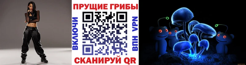 MEGA вход  Кудрово  маркетплейс какой сайт  Галлюциногенные грибы Psilocybine cubensis 